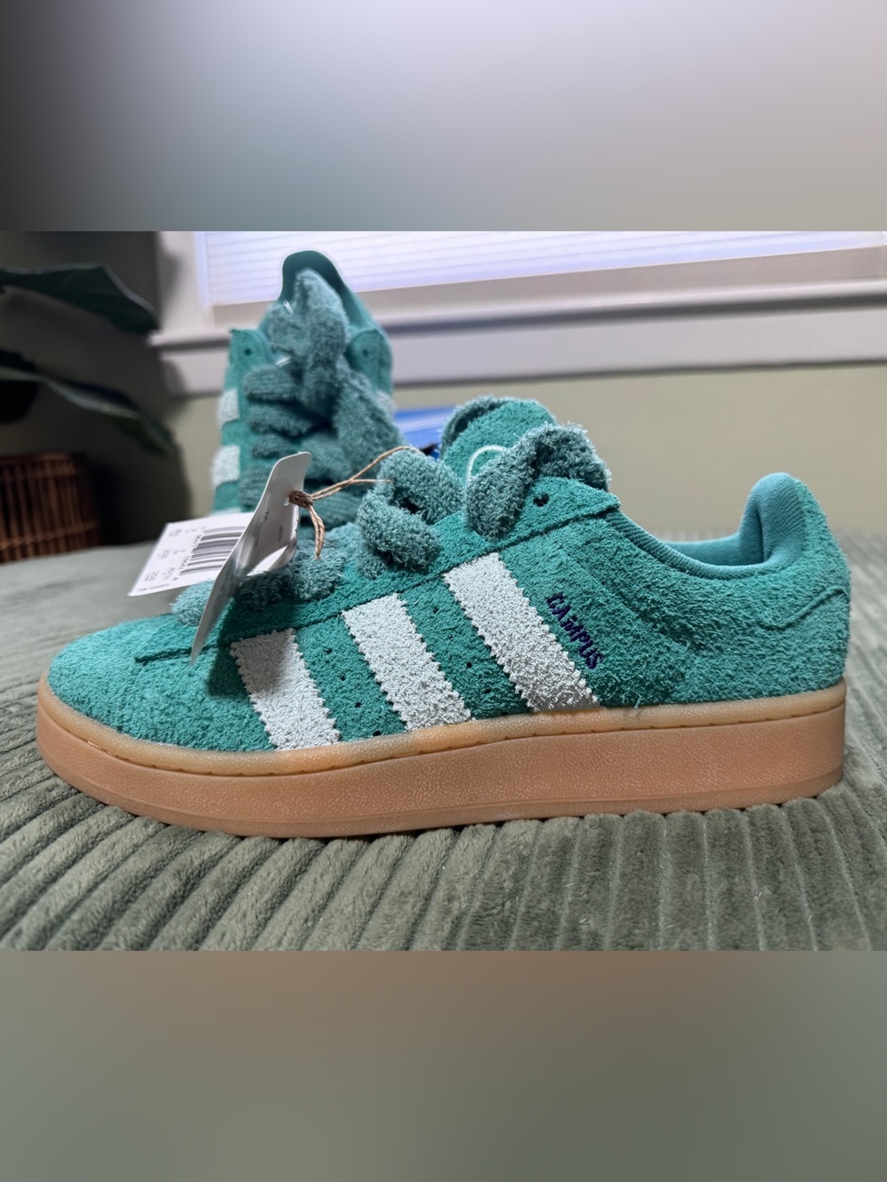 Womens adidas Campus '00s Athletic Shoe -Active Green/Aqua/Collegiate Purple 8.5